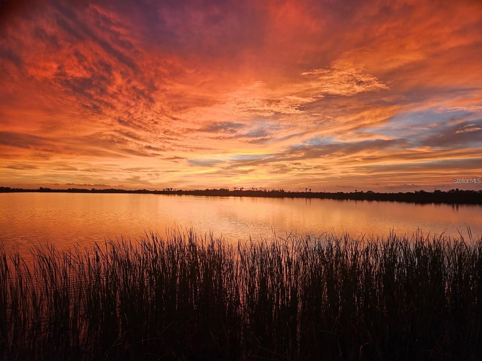 3215 Gulf City Road Ruskin FL 33570 TB8469293 image95
