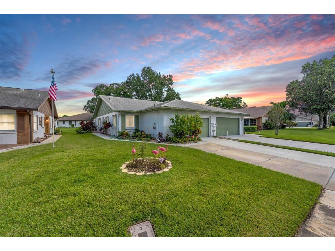 3215 Mcmath Drive Palm Harbor FL 34684 U8215464 image1