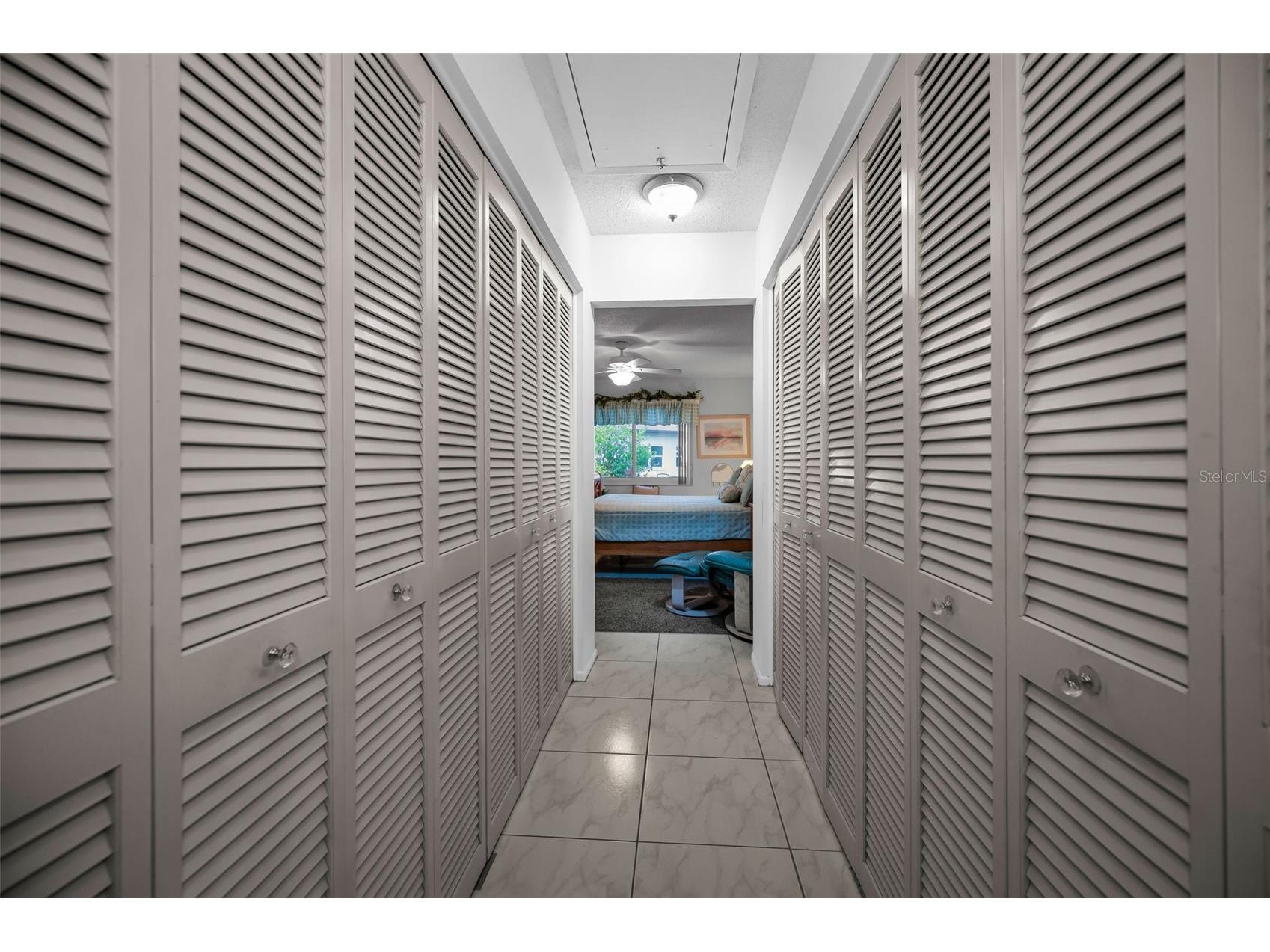 3215 Mcmath Drive Palm Harbor FL 34684 TB8526316 image30