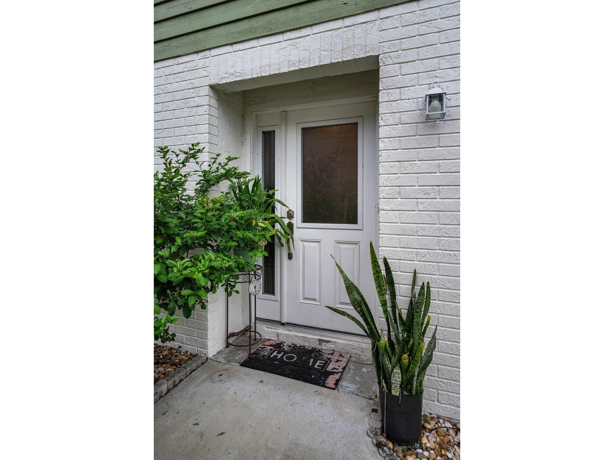 3215 Mcmath Drive Palm Harbor FL 34684 TB8526316 image4
