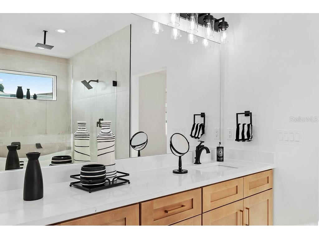 3215 W Aileen Street Tampa FL 33607 TB8503862 image13