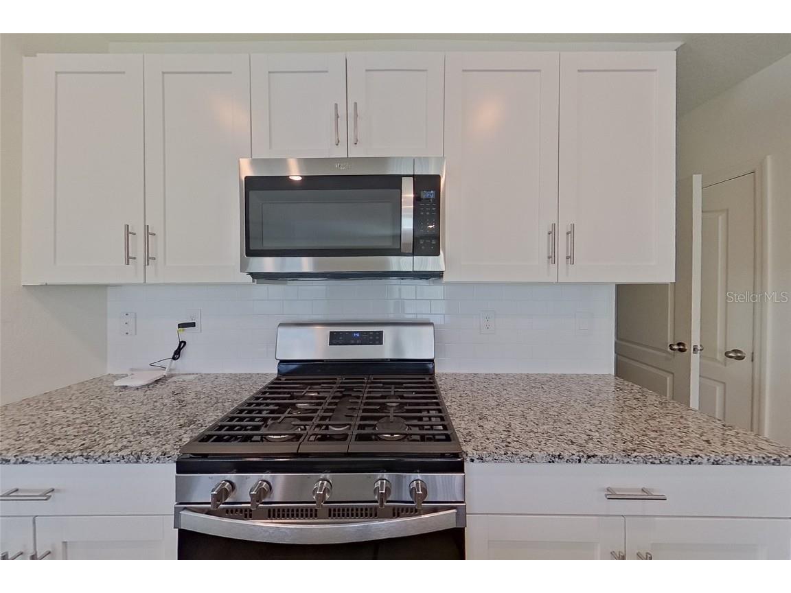 32150 Katelin Circle Leesburg FL 34748 O6347254 image8