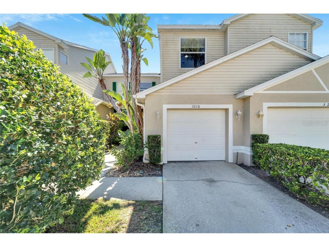 3216 Audubon Court Tarpon Springs FL 34688 T3482267 image1