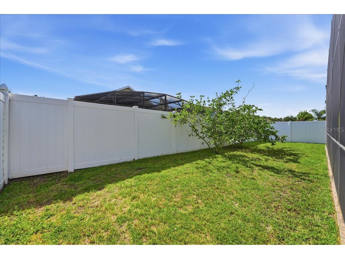 3216 Bayflower Avenue Harmony FL 34773 O6410379 image36
