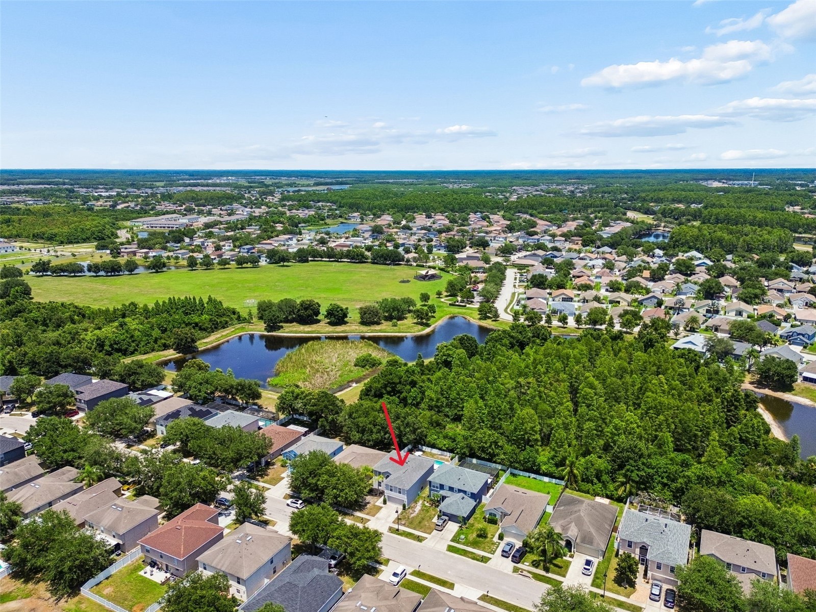 3216 Bellericay Lane Land O Lakes FL 34638 TB8517231 image56