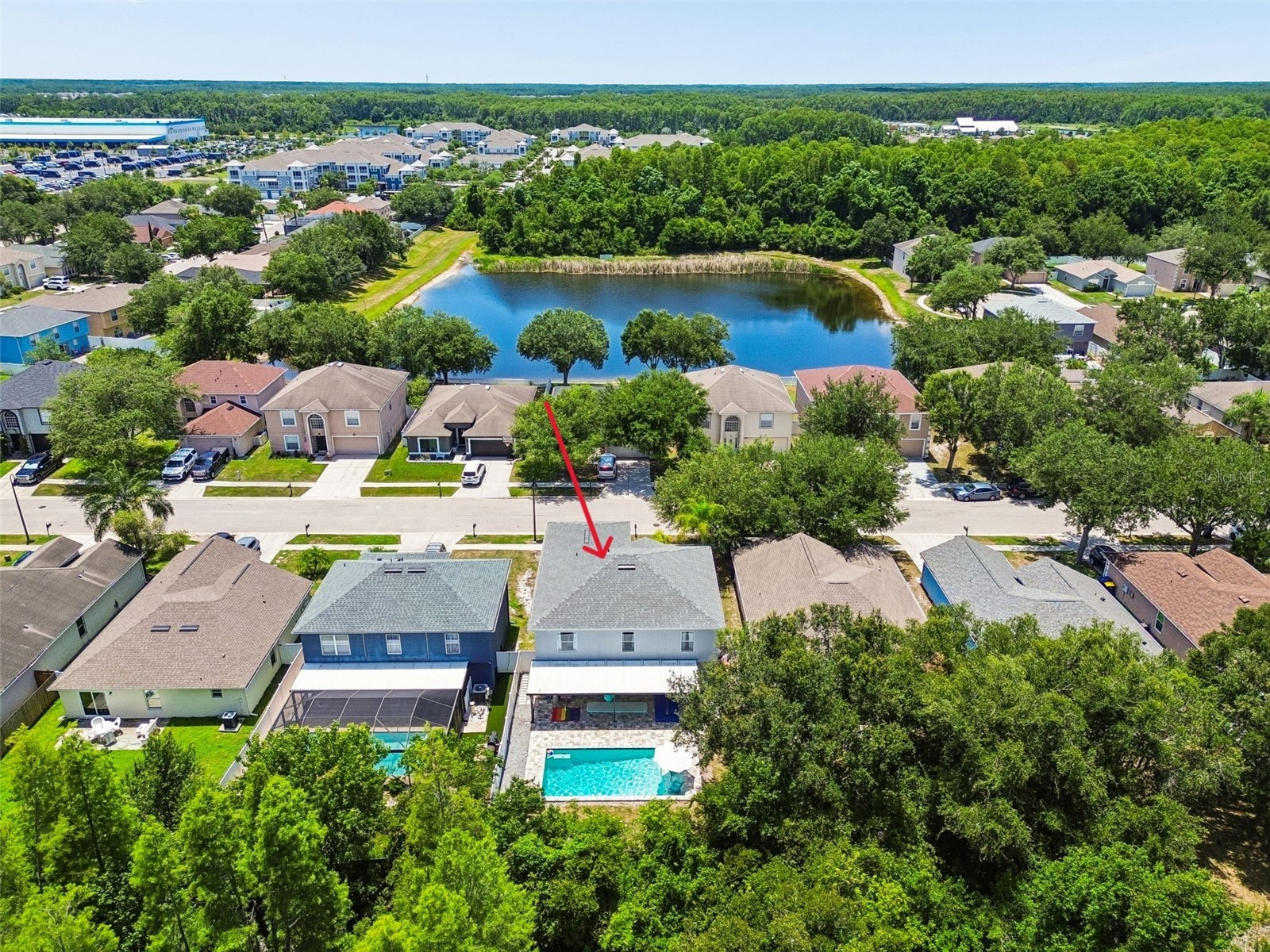 3216 Bellericay Lane Land O Lakes FL 34638 TB8517231 image57