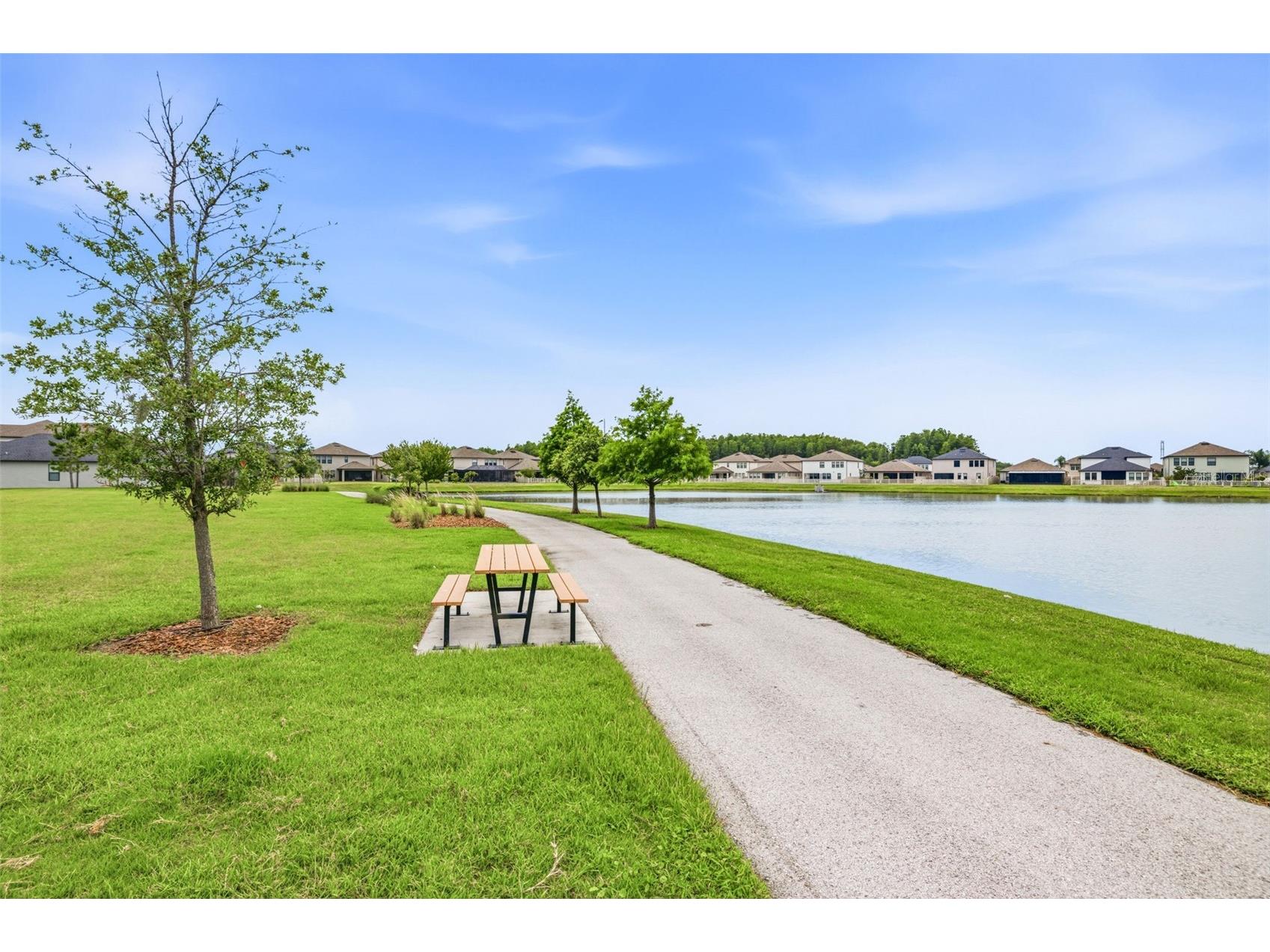 3216 Bryant Park Drive New Port Richey FL 34655 TB8514576 image34