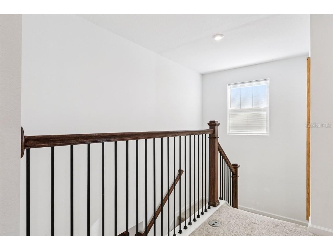 3216 Canna Lily Place Clermont FL 34711 S5136868 image21