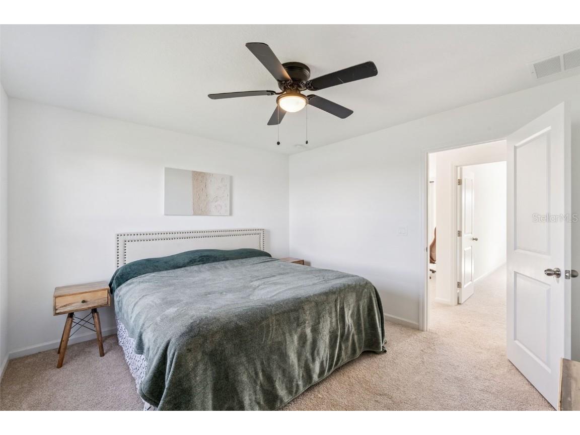 3216 Canna Lily Place Clermont FL 34711 S5136868 image33