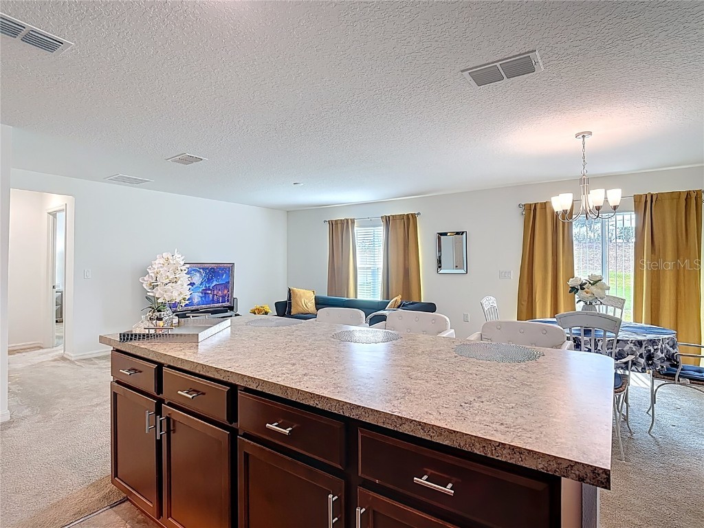 3216 Casa Del Rey Avenue Kissimmee FL 34746 O6307299 image5