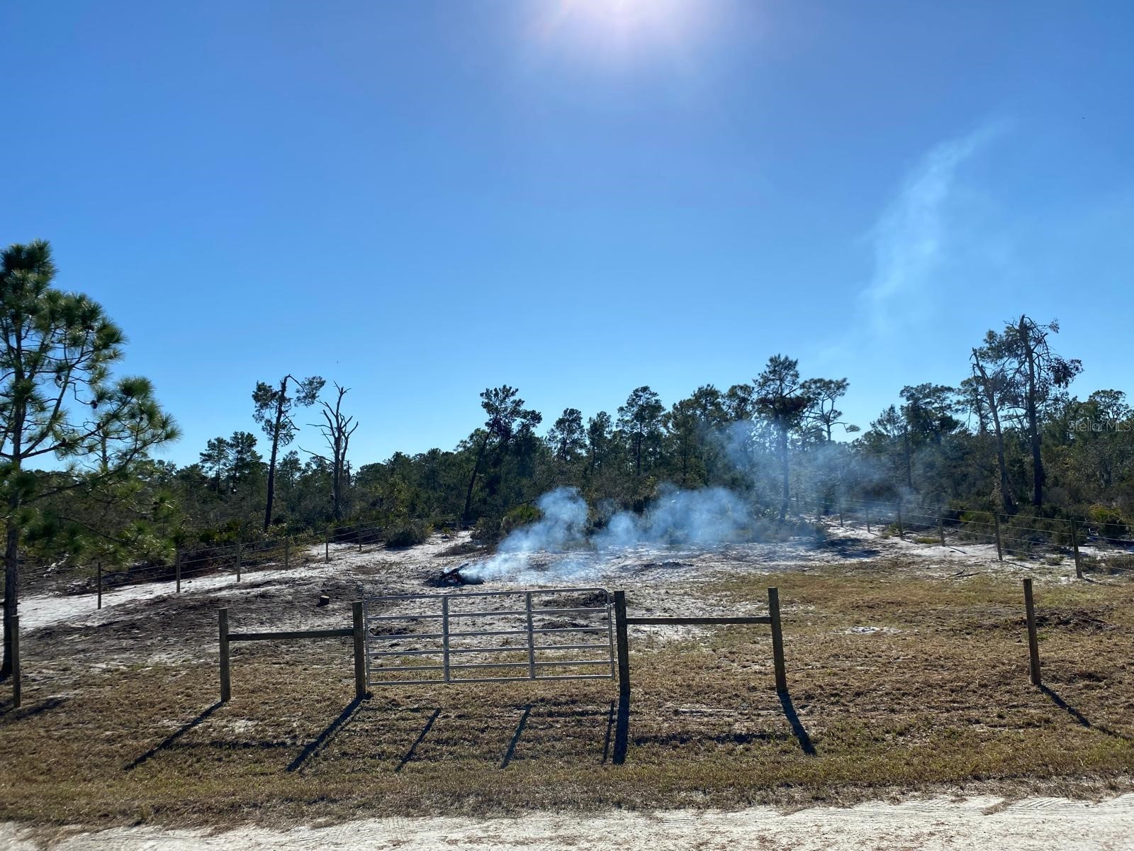 3216 Flatbush Avenue Lake Placid FL 33852 TB8498767 image1