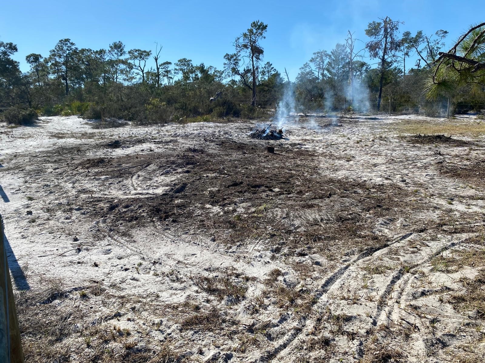 3216 Flatbush Avenue Lake Placid FL 33852 TB8498767 image2