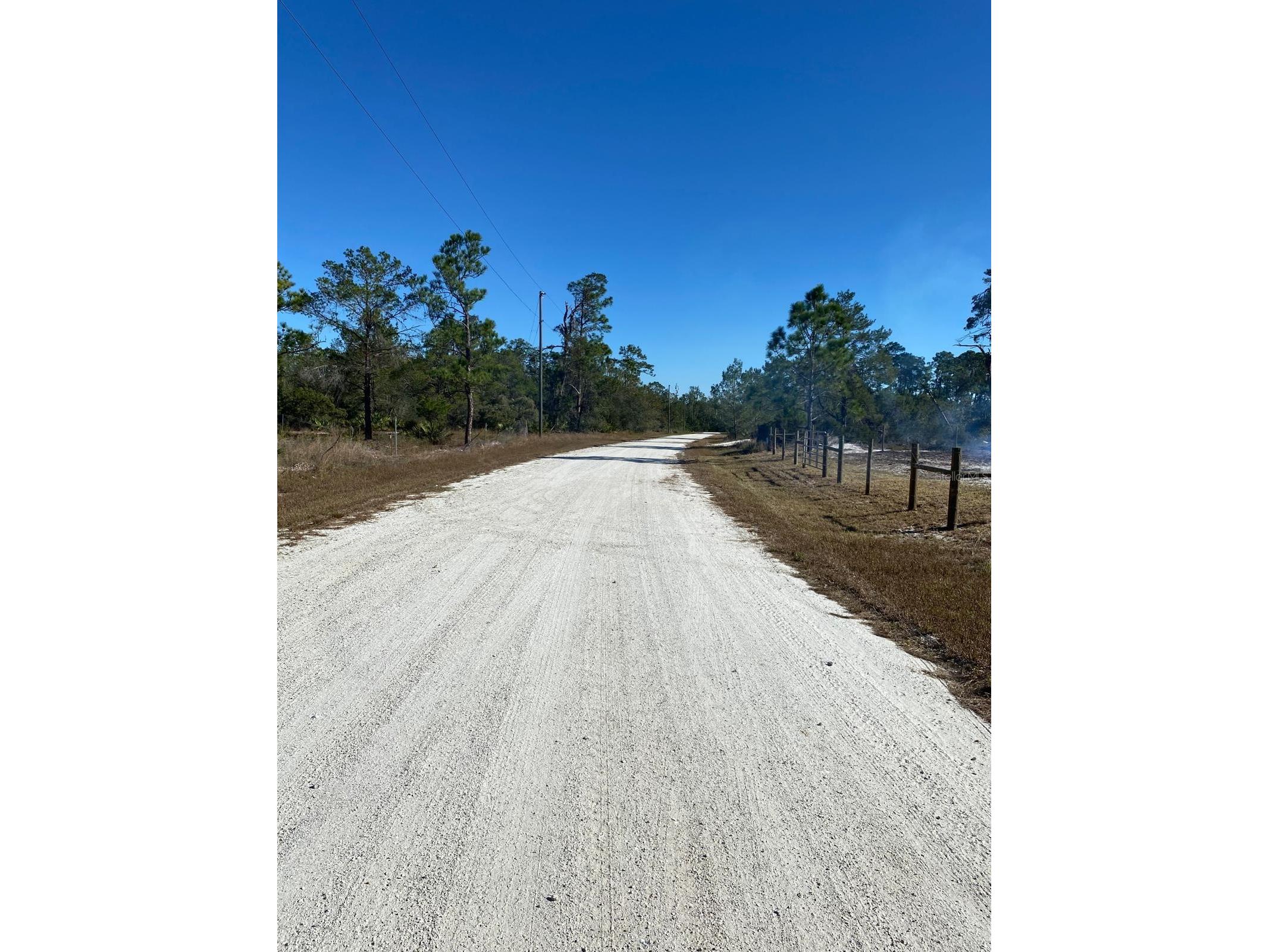 3216 Flatbush Avenue Lake Placid FL 33852 TB8498767 image4