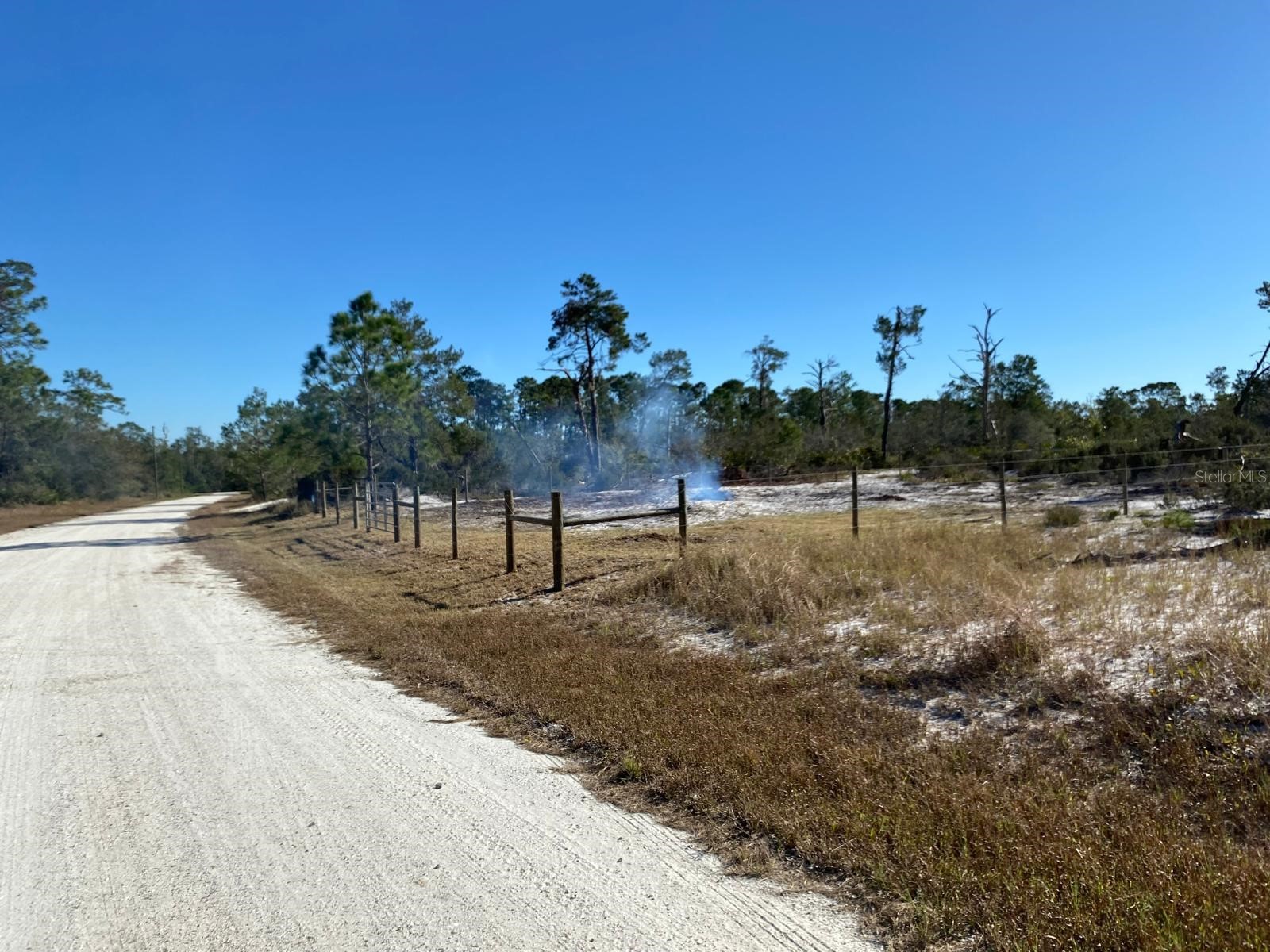 3216 Flatbush Avenue Lake Placid FL 33852 TB8498767 image5