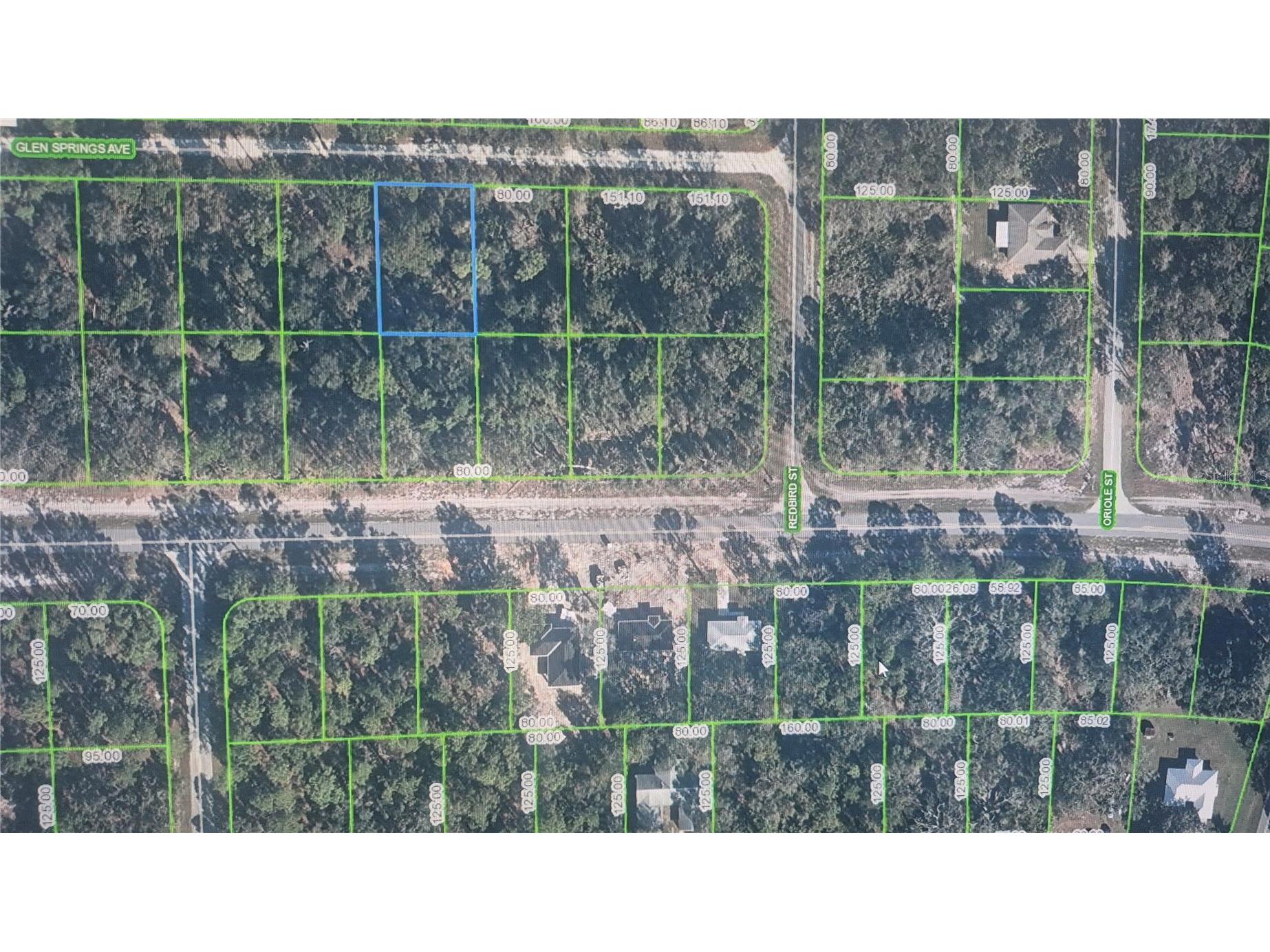 3216 Glen Springs Avenue Lake Placid FL 33852 O6398571 image2
