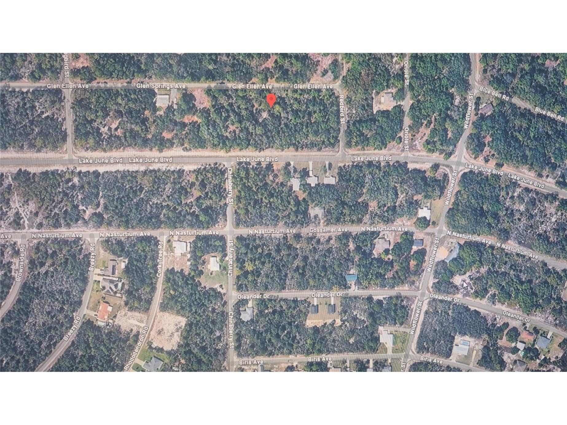 3216 Glen Springs Avenue Lake Placid FL 33852 O6398571 image4