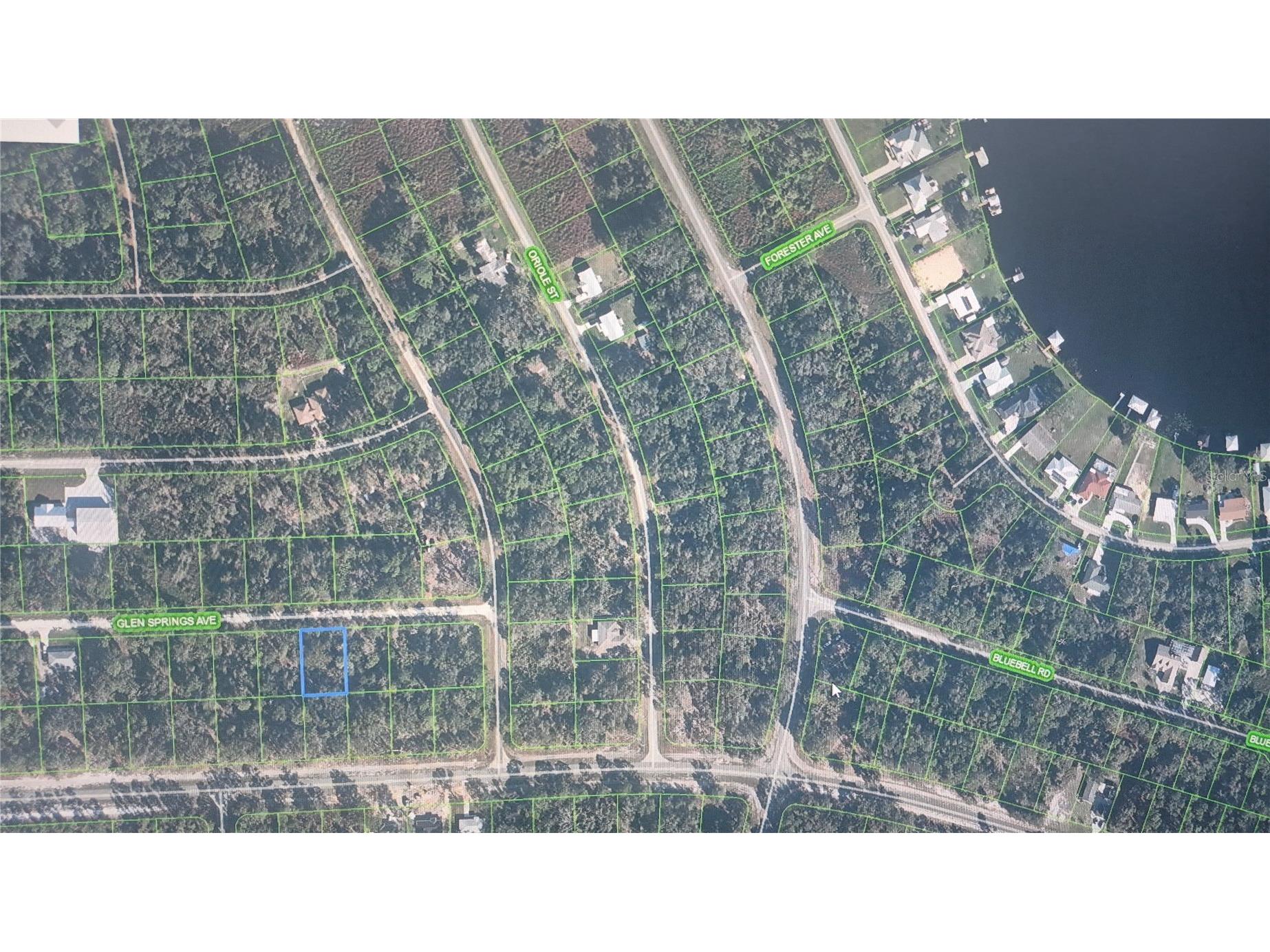 3216 Glen Springs Avenue Lake Placid FL 33852 O6398571 image5