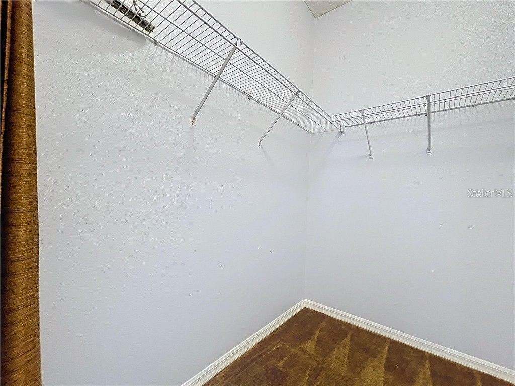 3216 Hurley Grove Way Valrico FL 33596 TB8407142 image43