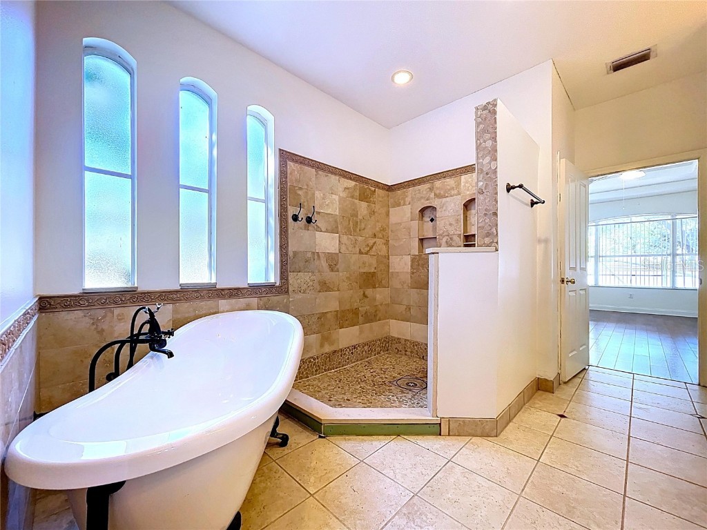 3216 Hurley Grove Way Valrico FL 33596 TB8407142 image56