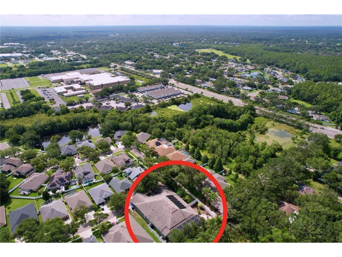 3216 Hurley Grove Way Valrico FL 33596 TB8407142 image9