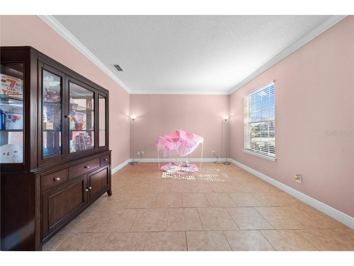 3216 Olivia Breeze Drive Kissimmee FL 34746 S5137856 image18