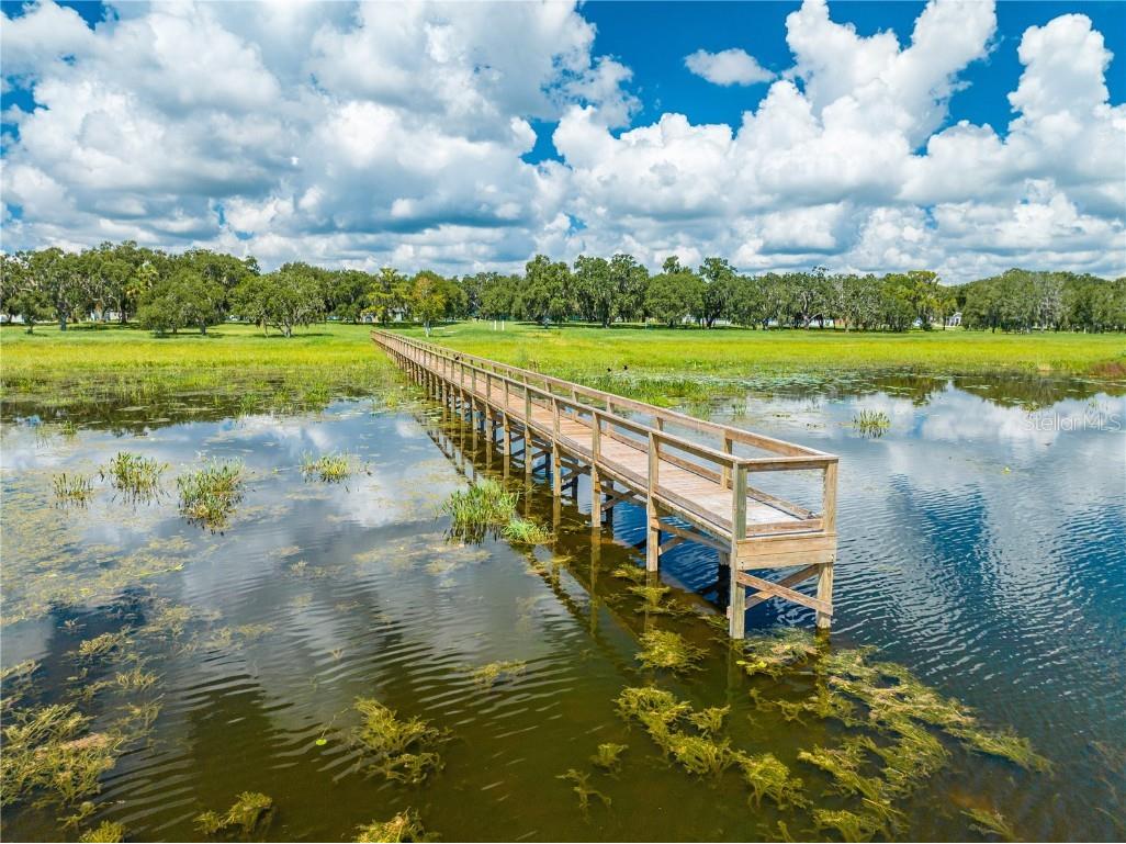 3216 Olivia Breeze Drive Kissimmee FL 34746 S5137856 image5