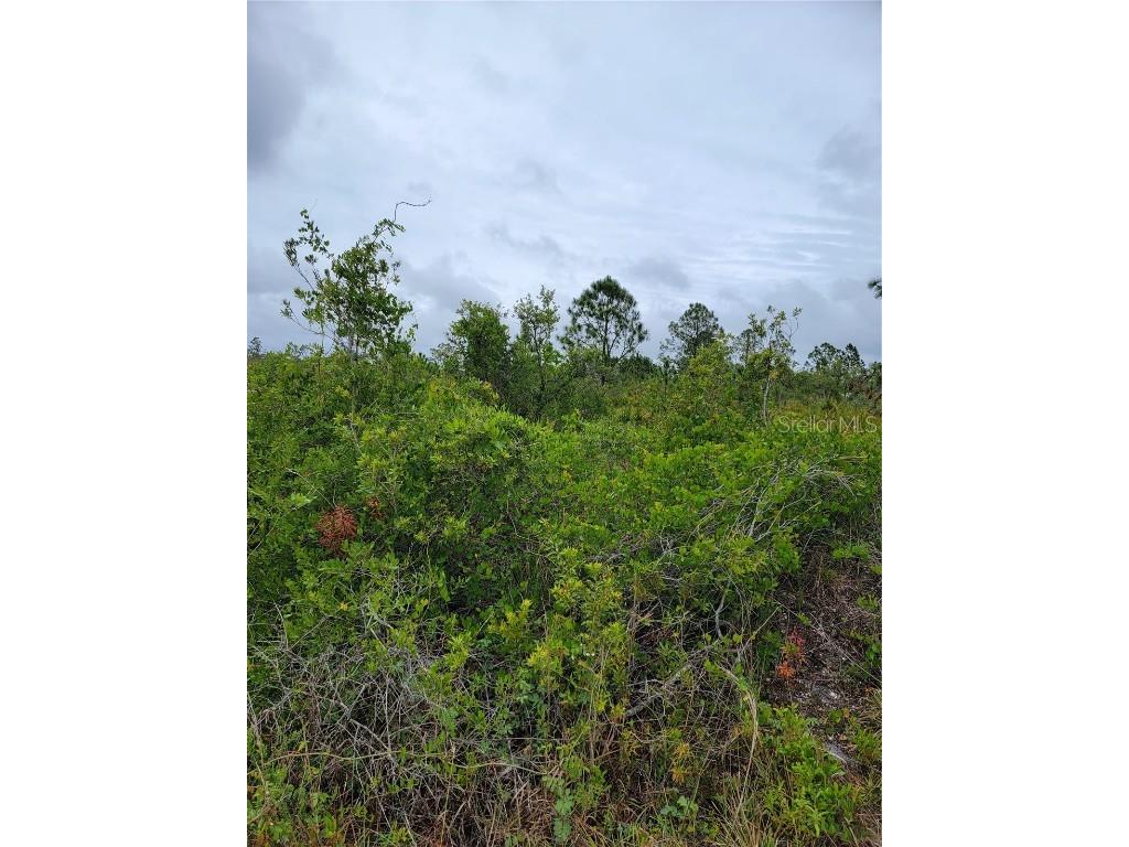 32162 Creek Trail Punta Gorda FL 33982 C7474199 image1