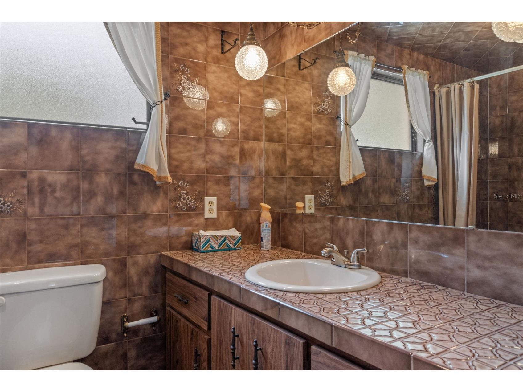 3217 Abeline Road Spring Hill FL 34608 W7884527 image40