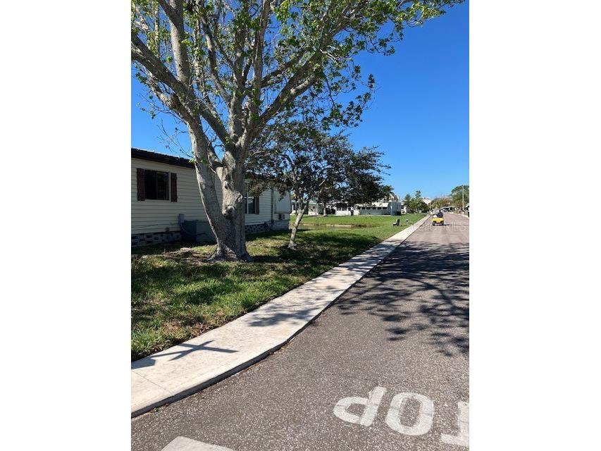 3217 Brewster Drive Holiday FL 34690 TB8487574 image2