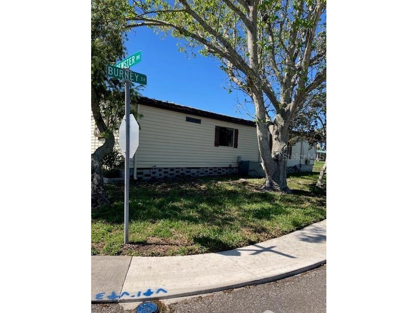 3217 Brewster Drive Holiday FL 34690 TB8487574 image3