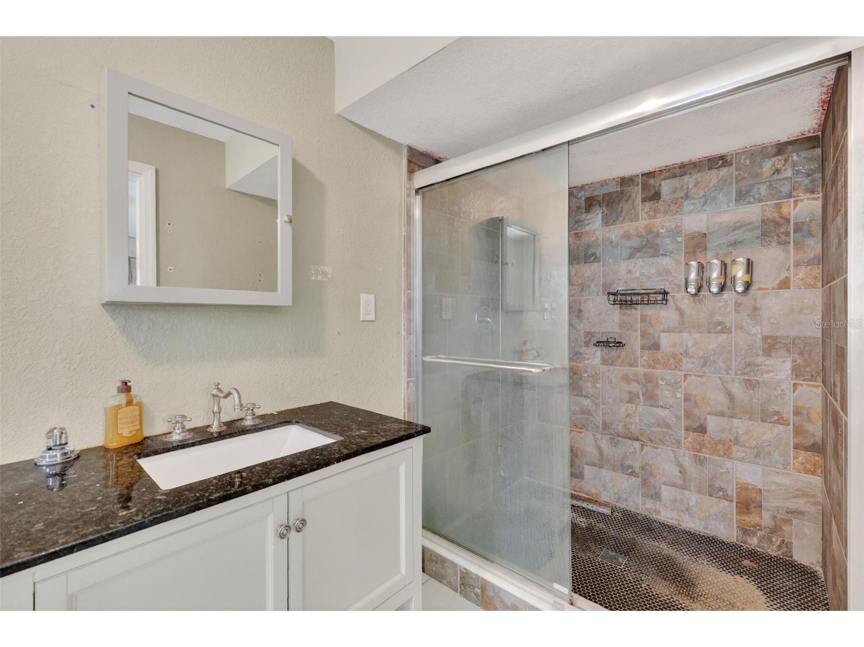 3217 Lake Anderson Avenue Orlando FL 32812 O6403235 image29