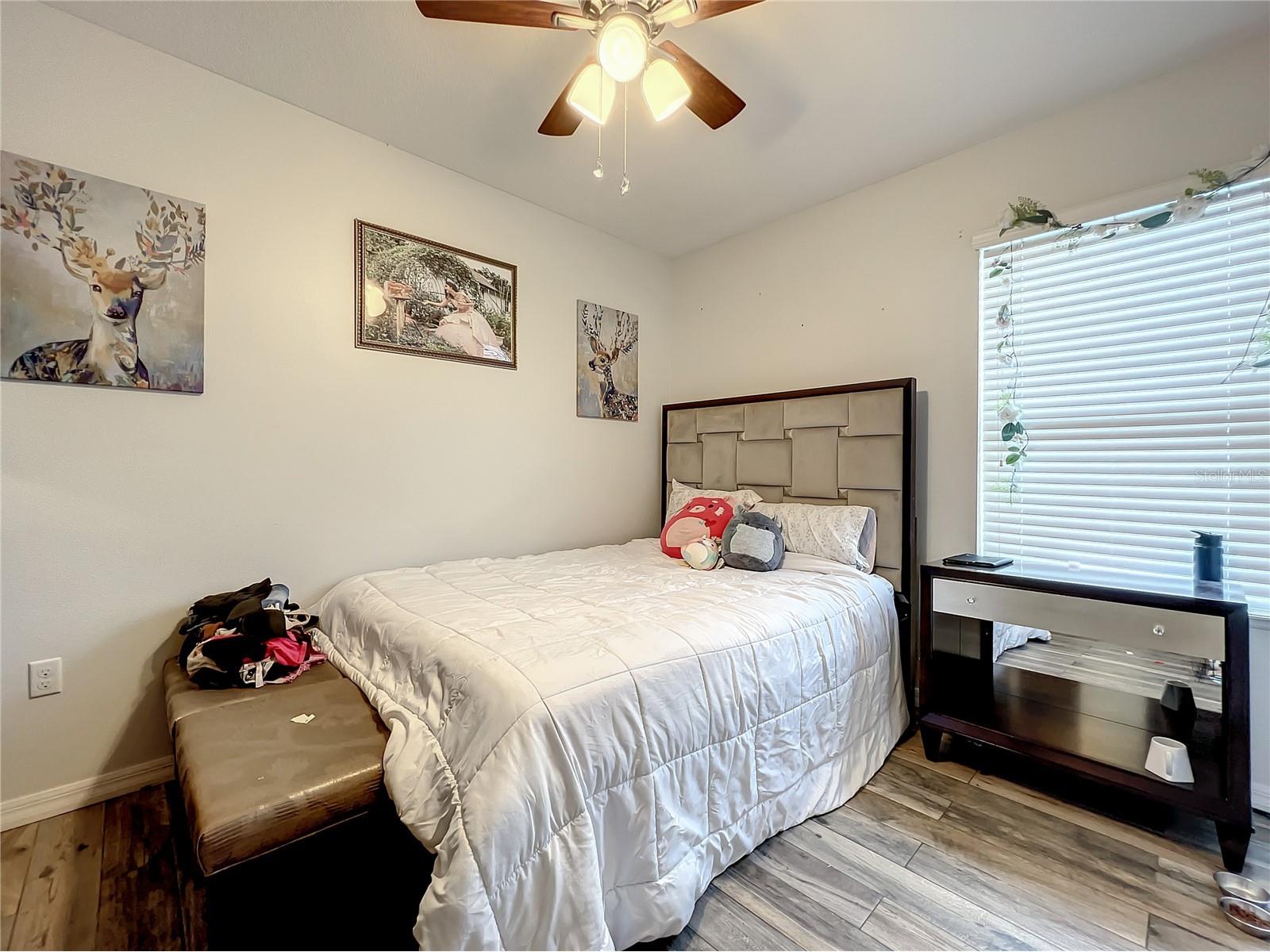 3217 Queen Alexandria Drive Kissimmee FL 34744 S5136403 image13