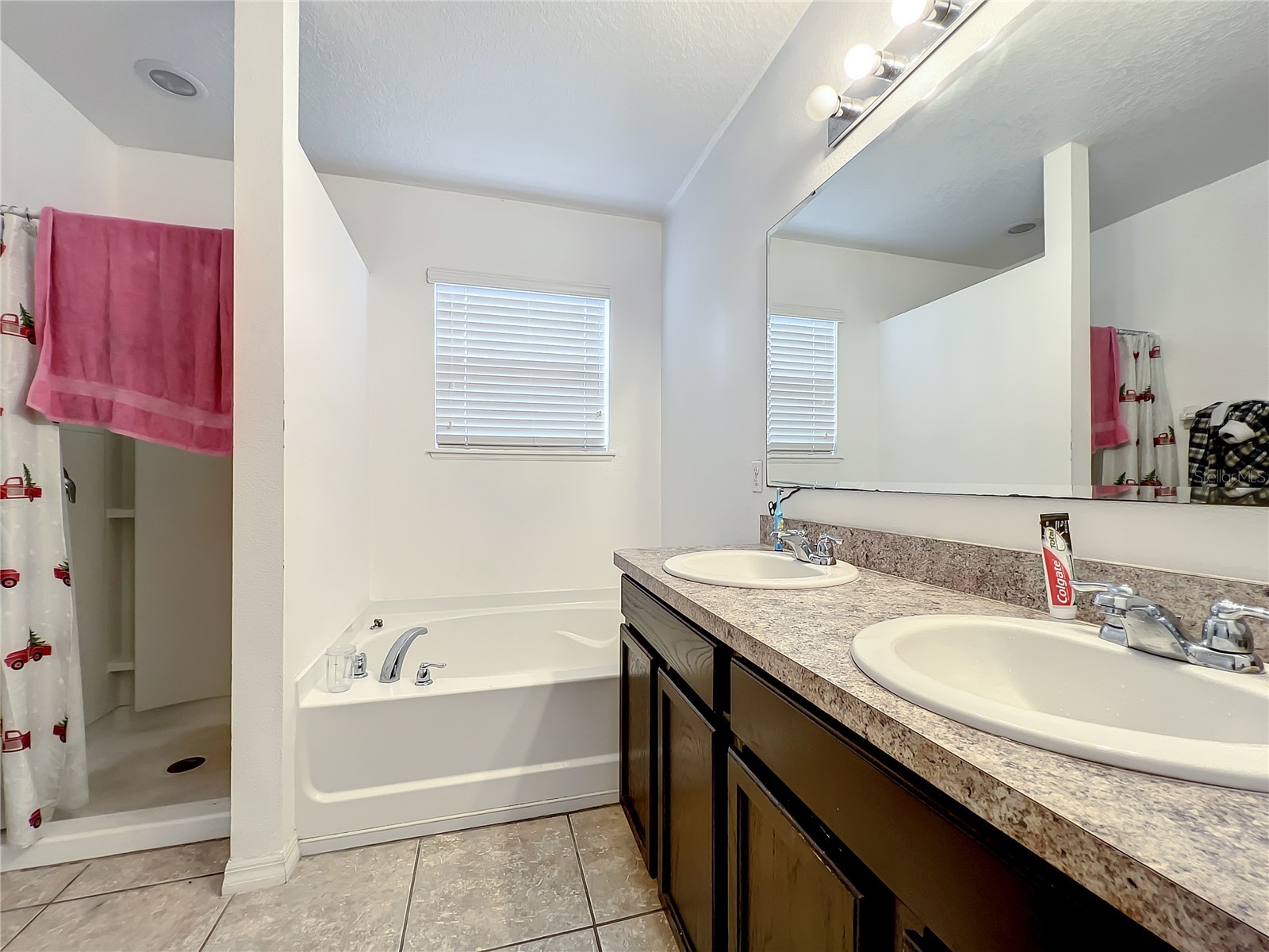 3217 Queen Alexandria Drive Kissimmee FL 34744 S5136403 image25