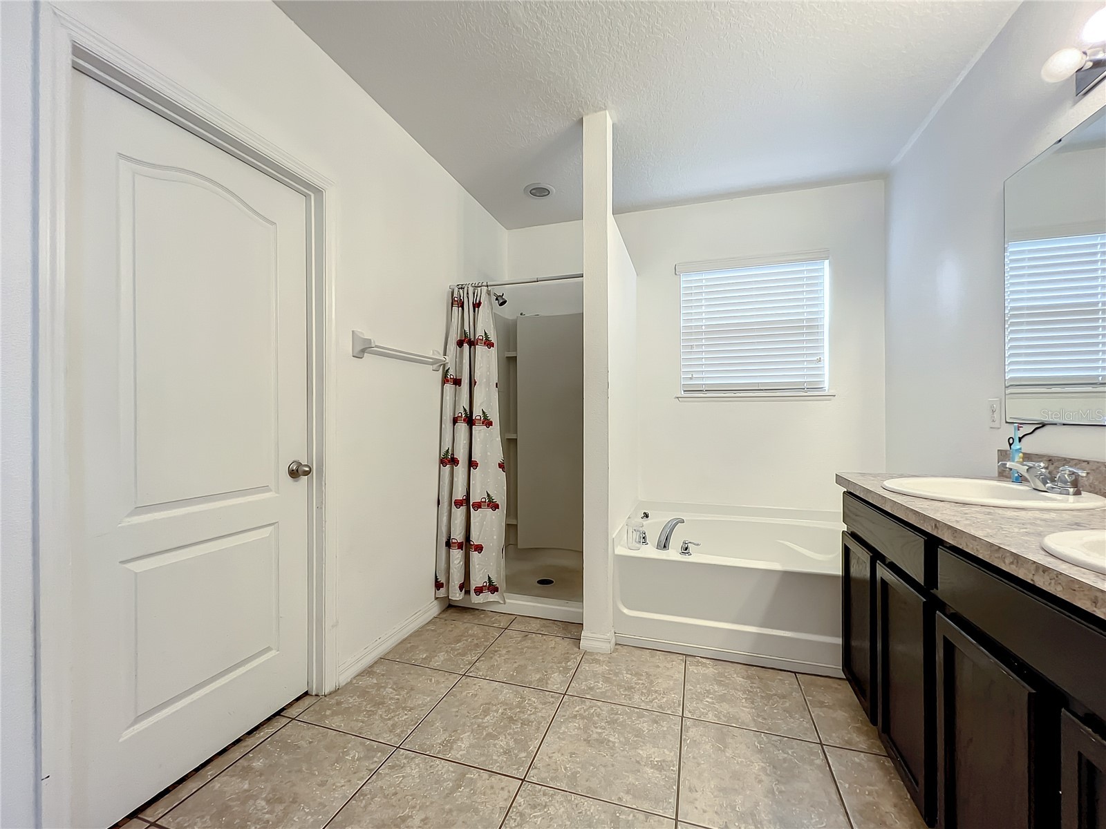 3217 Queen Alexandria Drive Kissimmee FL 34744 S5136403 image26