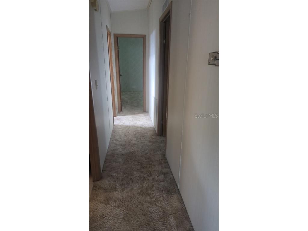 3217 Rainbow Road Tavares FL 32778 G5102703 image10