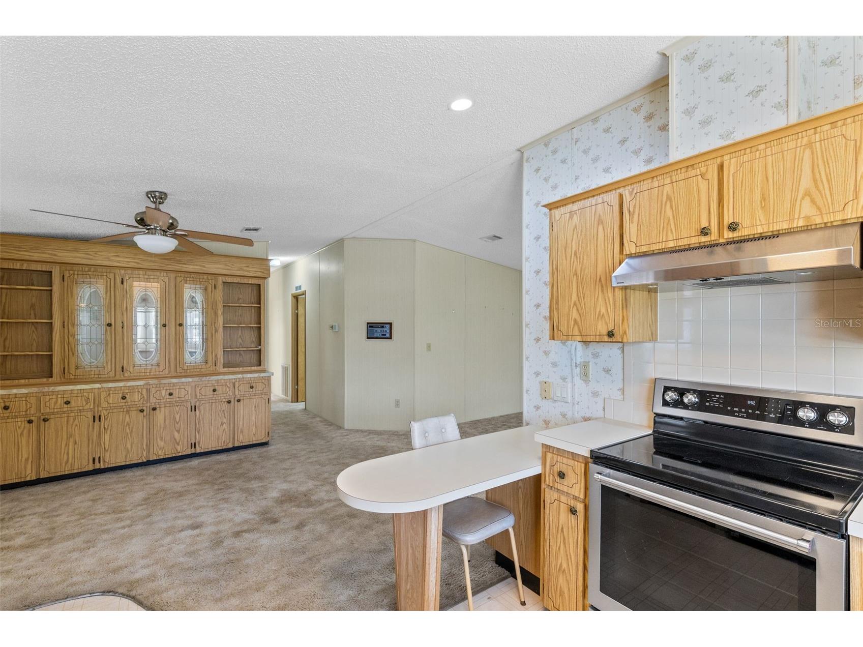 3217 Rainbow Road Tavares FL 32778 O6418748 image14