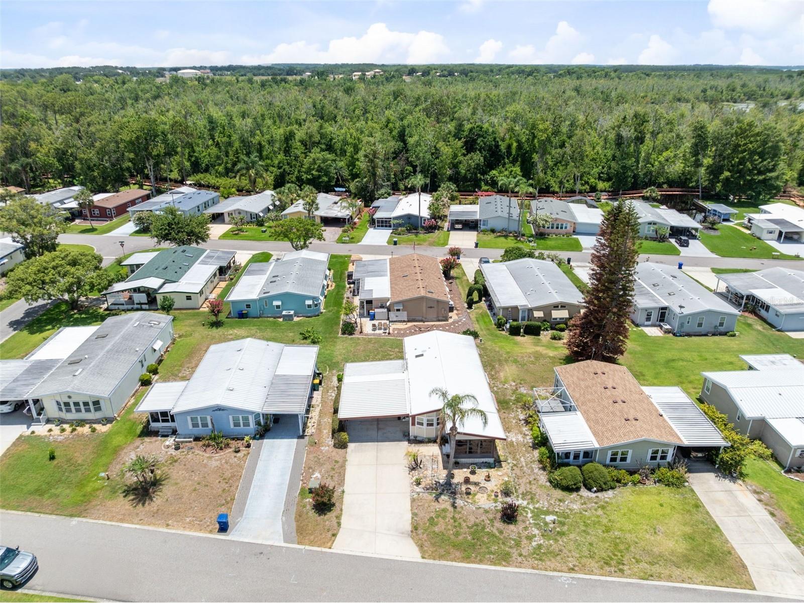 3217 Rainbow Road Tavares FL 32778 O6418748 image29