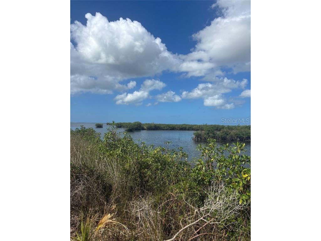 3217 Shine Lane Spring Hill FL 34607 W7879735 image1