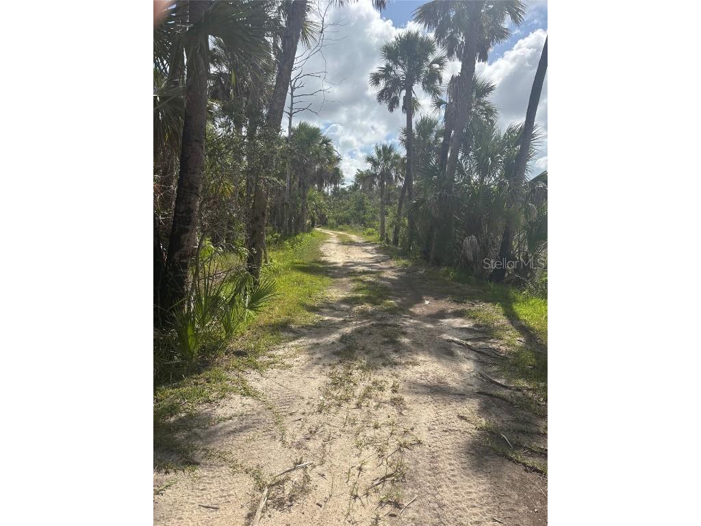 3217 Shine Lane Spring Hill FL 34607 W7879735 image11