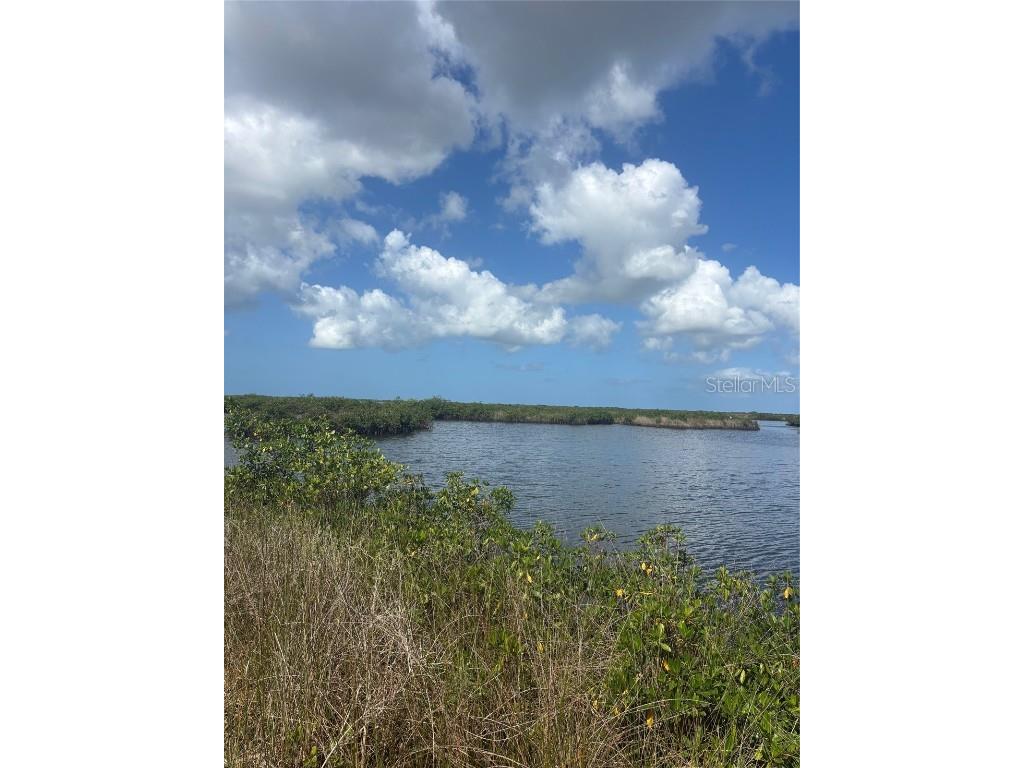 3217 Shine Lane Spring Hill FL 34607 W7879735 image18