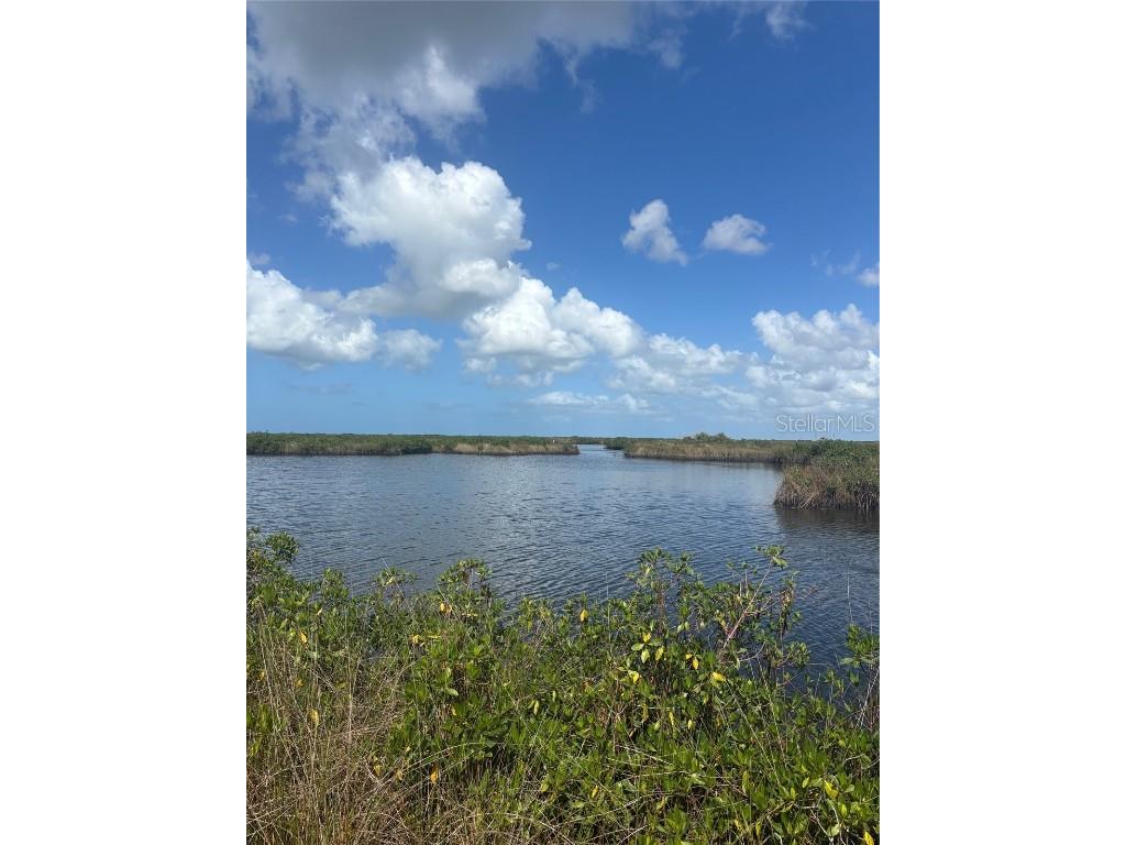 3217 Shine Lane Spring Hill FL 34607 W7879735 image19