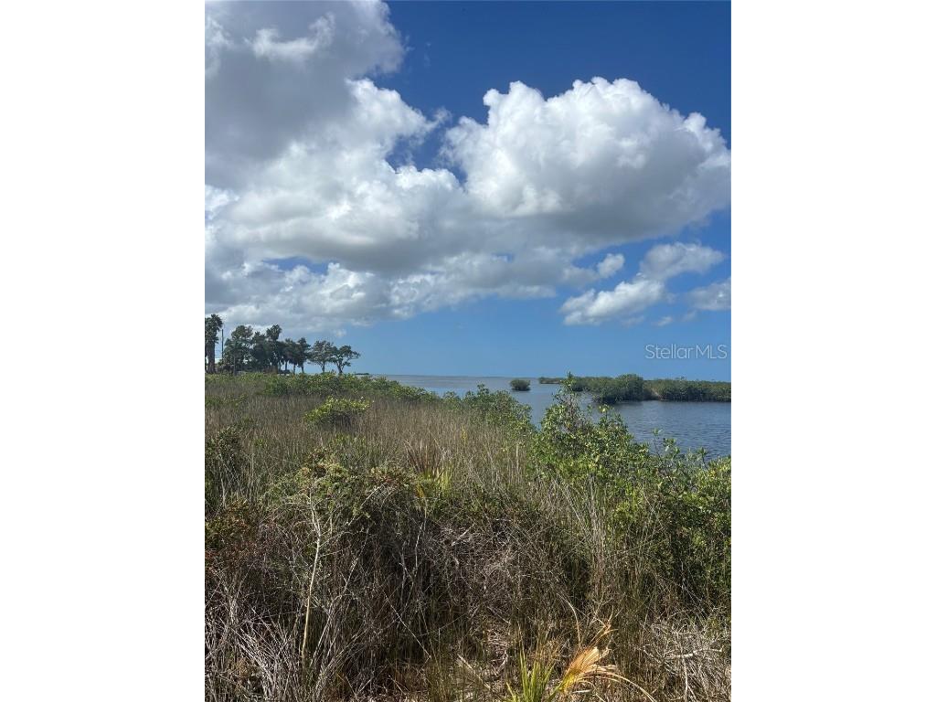 3217 Shine Lane Spring Hill FL 34607 W7879735 image2