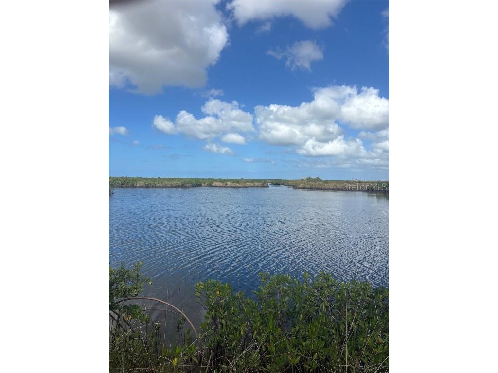 3217 Shine Lane Spring Hill FL 34607 W7879735 image3