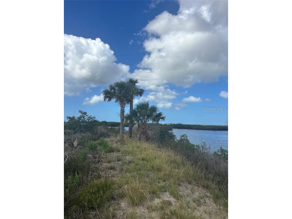 3217 Shine Lane Spring Hill FL 34607 W7879735 image4