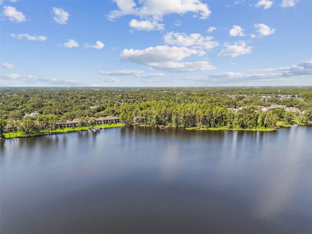 3217 Stoneybrook Lane Tampa FL 33618 - Lake Ellen TB8409601 image98