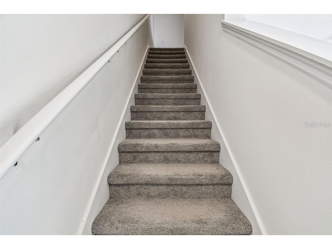 32173 Turtle Grace Loop Wesley Chapel FL 33545 TB8448297 image18