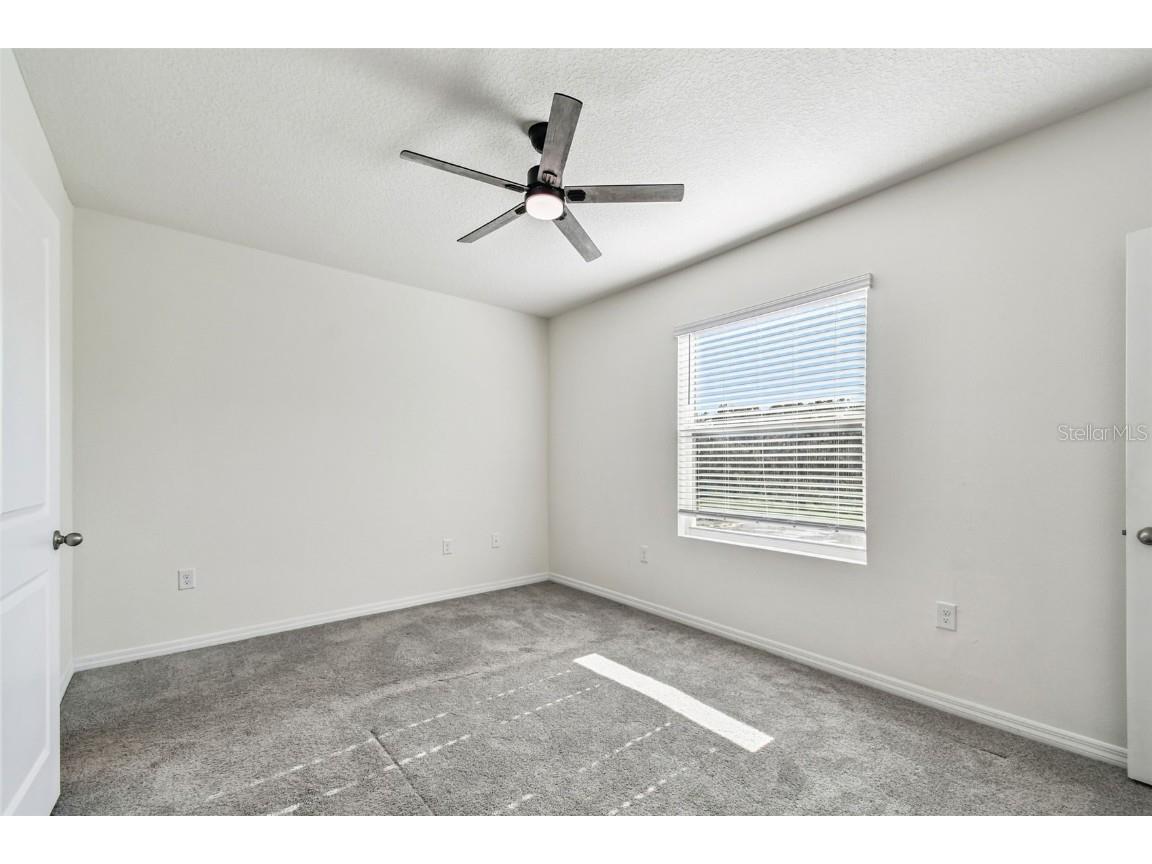 32173 Turtle Grace Loop Wesley Chapel FL 33545 TB8448297 image19