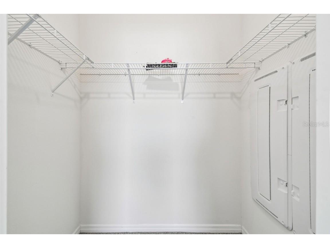 32173 Turtle Grace Loop Wesley Chapel FL 33545 TB8448297 image26