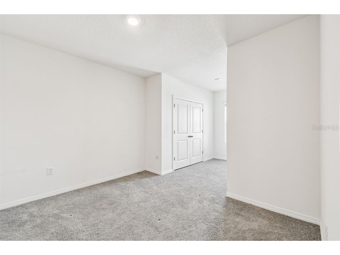 32173 Turtle Grace Loop Wesley Chapel FL 33545 TB8448297 image30