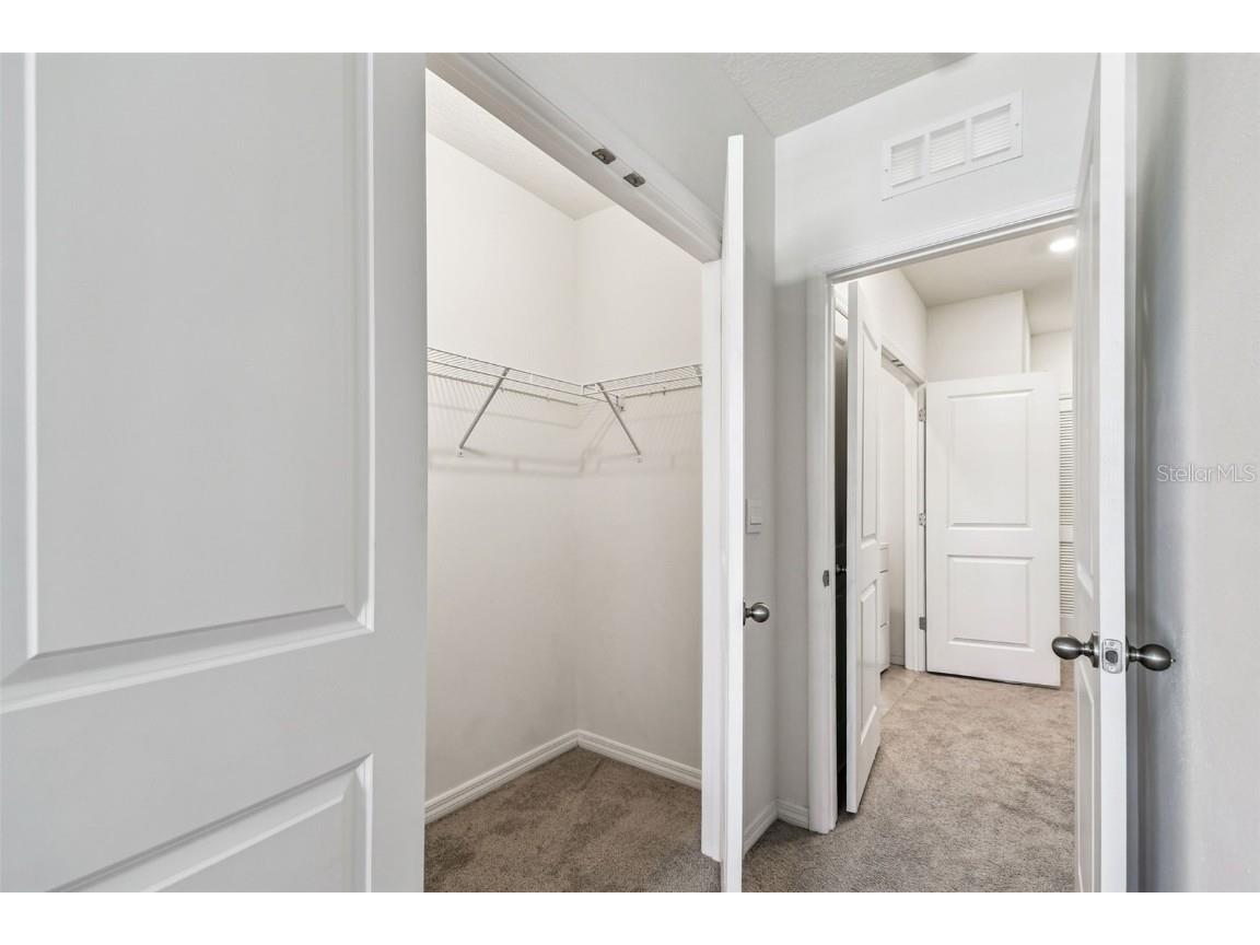 32173 Turtle Grace Loop Wesley Chapel FL 33545 TB8448297 image35